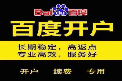 案例分享：竞价托管助力电商广告投放