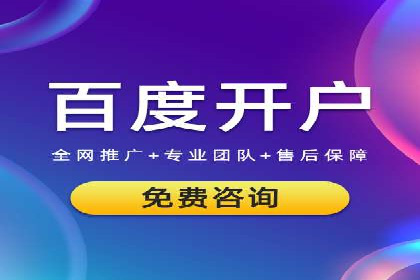 SEM推广实战：成功案例剖析